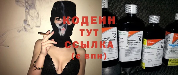 молекула духа Карпинск