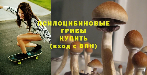 молекула духа Карпинск