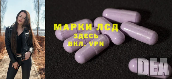 молекула духа Карпинск