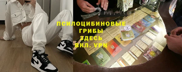 молекула духа Карпинск