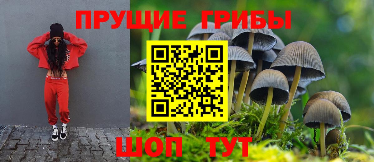 Псилоцибиновые грибы ЛСД  Вход с VPN  Галлюциногенные грибы GOLDEN TEACHER  Комсомольск-на-Амуре 